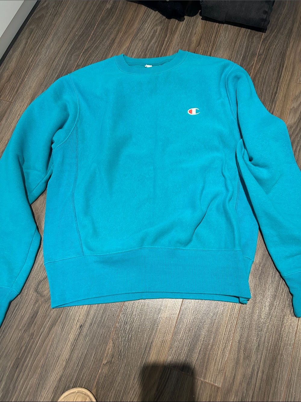 Champion Men's Crewneck Sweatshirt in Teal Blue